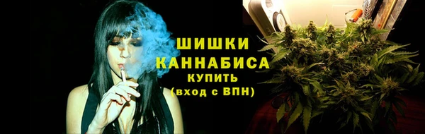 мяу мяу мука Иннополис