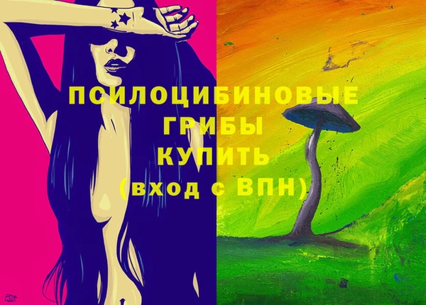 мяу мяу мука Иннополис