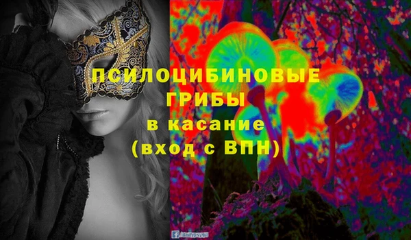 мяу мяу мука Иннополис