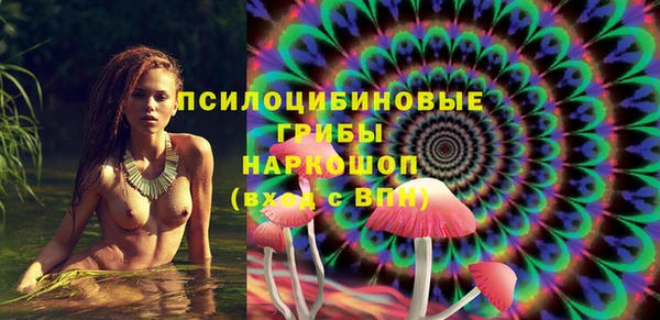 метадон Инсар