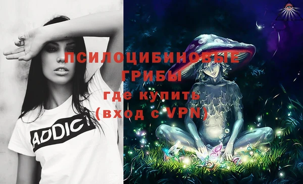 мяу мяу мука Иннополис