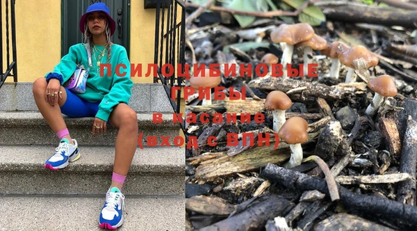метадон Инсар