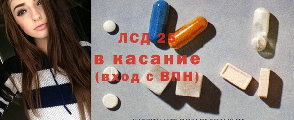 мяу мяу мука Иннополис