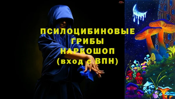 мяу мяу мука Иннополис