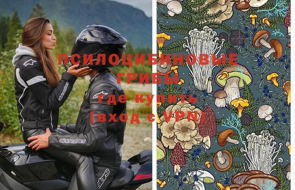 метадон Инсар