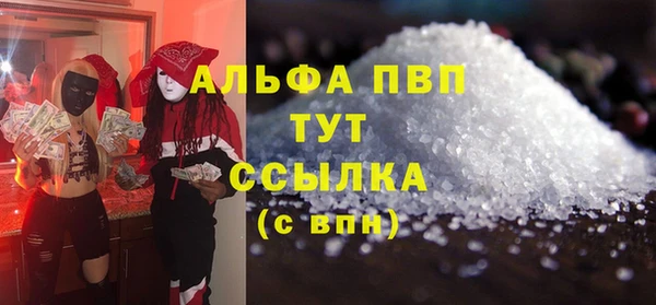 мяу мяу мука Иннополис