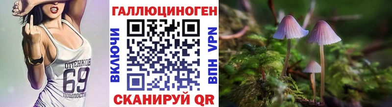 Псилоцибиновые грибы Psilocybine cubensis  Купить где  Дрезна 